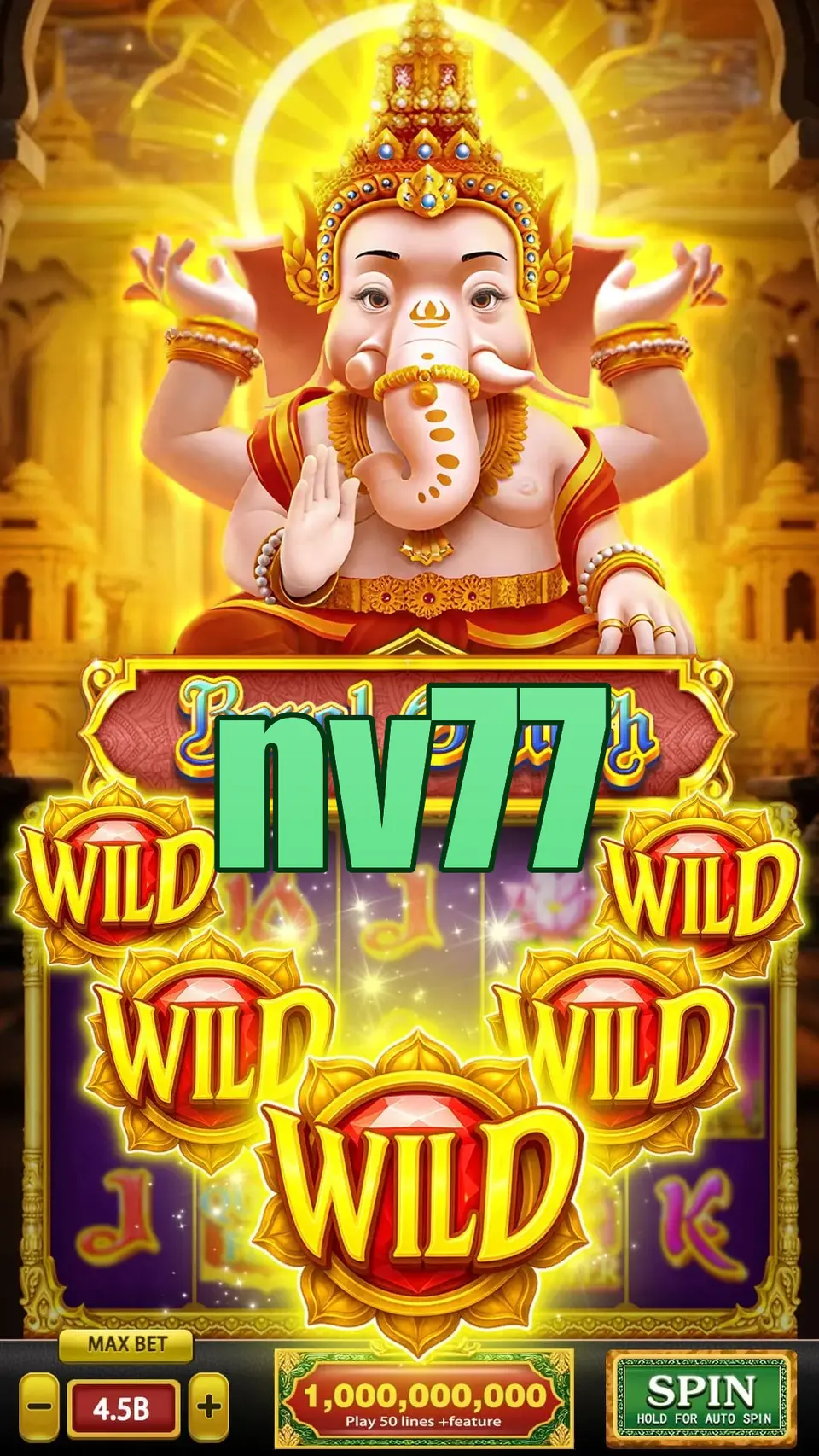 nv77 Unduh